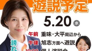 菊池市議会議員選挙 たさきなな候補 本日個人演説会と今後の予定